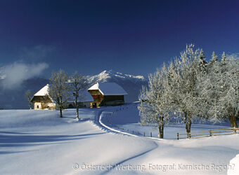 #25167 - Karnische Region im Winter / Gailtal in Kaernten 