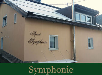 ankommen-symphonie-250c-340x250.jpg