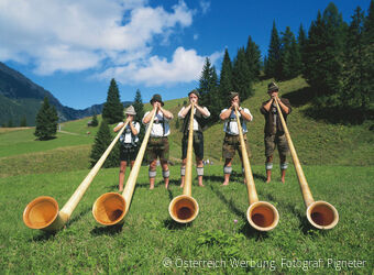 #19007 - Alphornblaeser im Ausserfern Tirol 