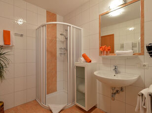 appartement-pfister-hans-peter-hochfuegenerstrasse-178-badezimmer-230c-308x230.jpg