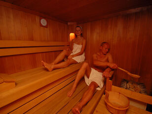 alpenland-sauna-230c-308x230.jpg